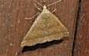 335823 – Photo : ORCHALLAN – France (20)